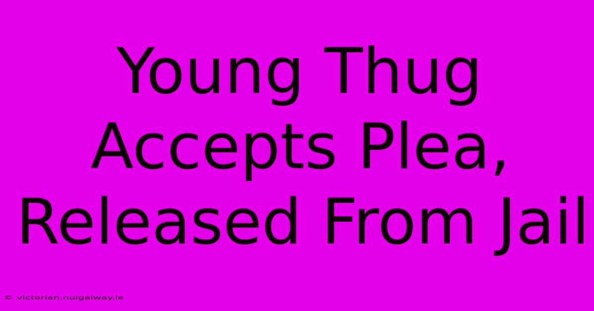 Young Thug Accepts Plea, Released From Jail