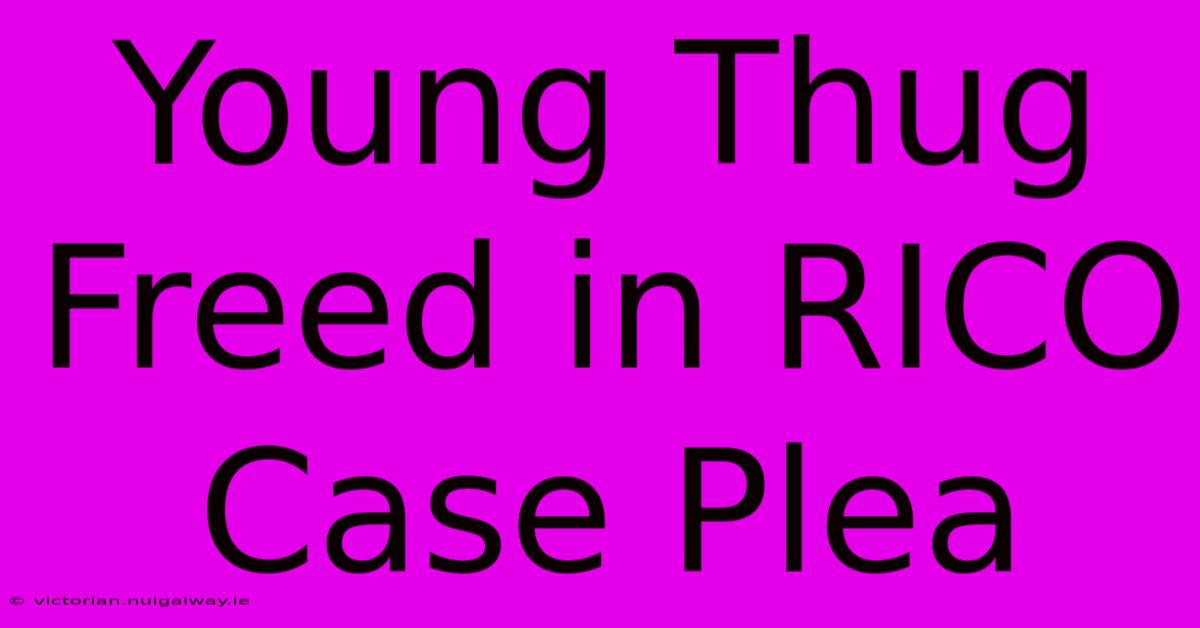 Young Thug Freed In RICO Case Plea