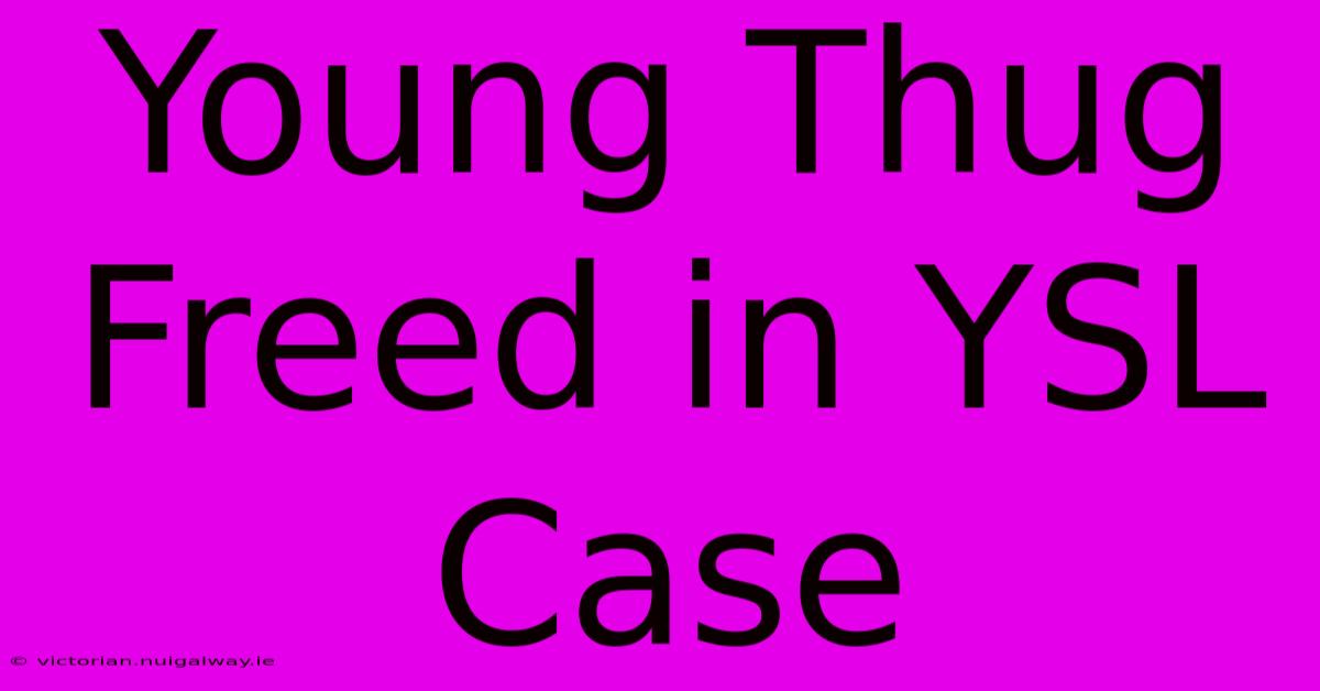 Young Thug Freed In YSL Case