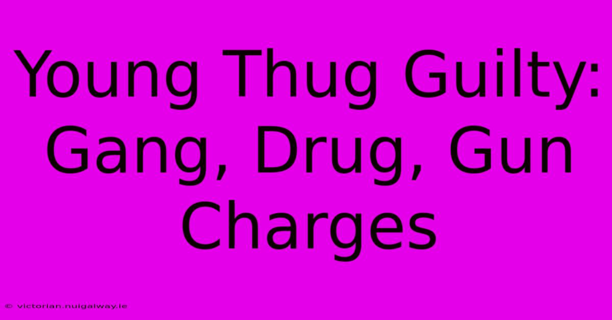 Young Thug Guilty: Gang, Drug, Gun Charges