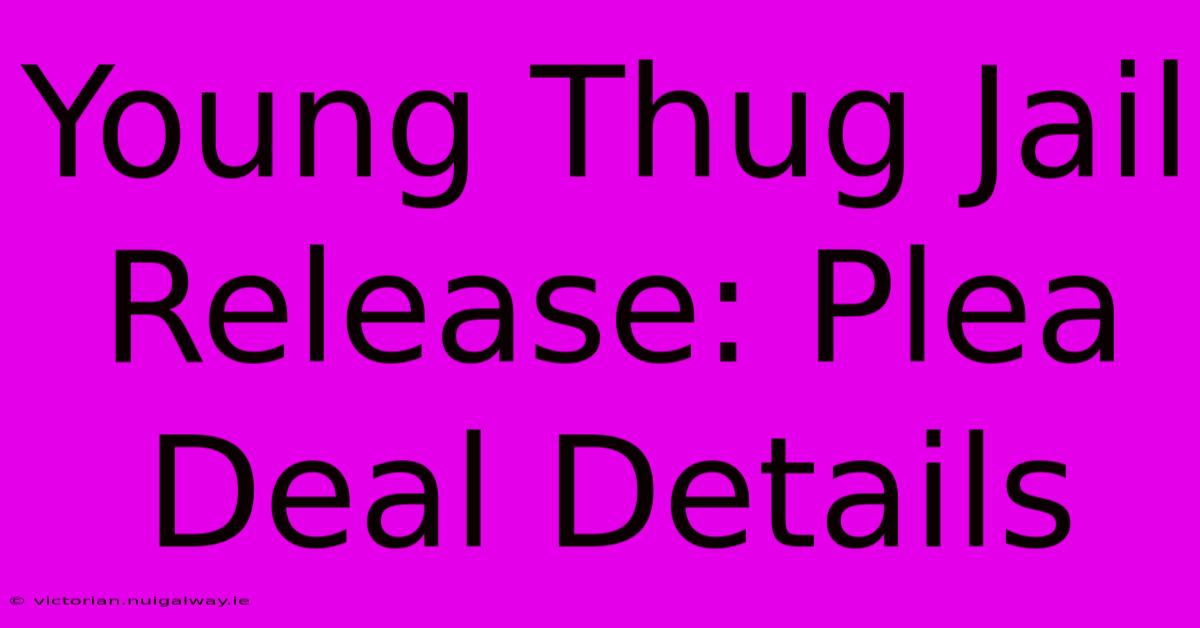 Young Thug Jail Release: Plea Deal Details