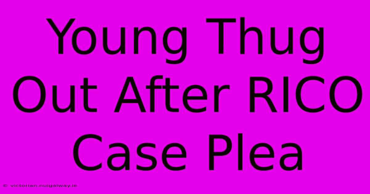 Young Thug Out After RICO Case Plea 