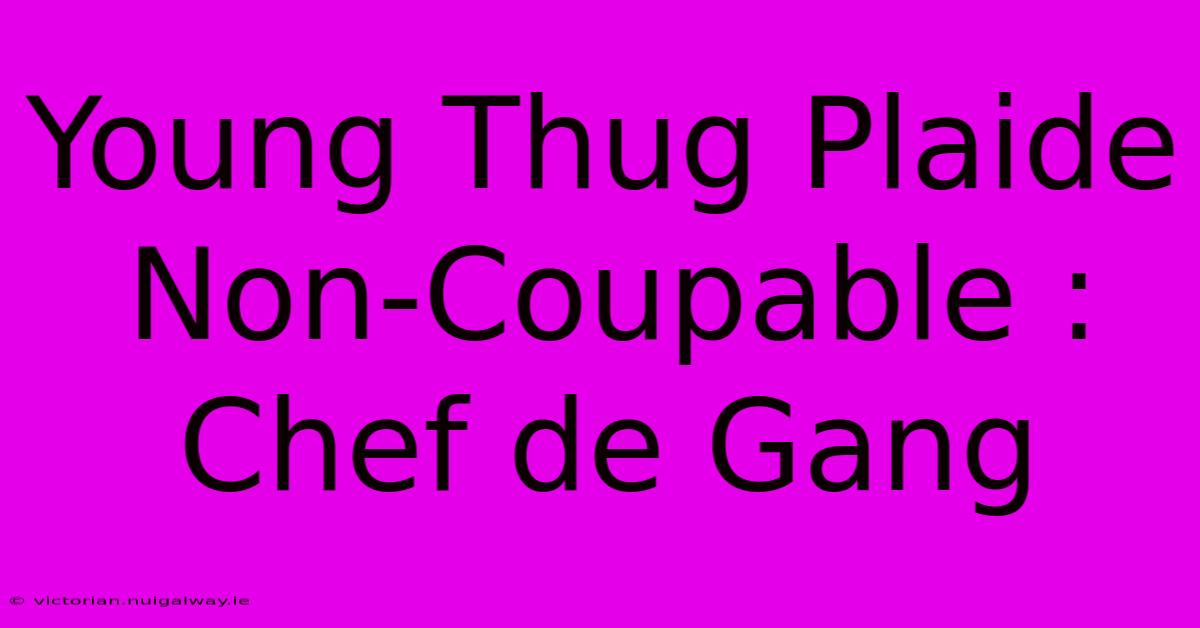 Young Thug Plaide Non-Coupable : Chef De Gang