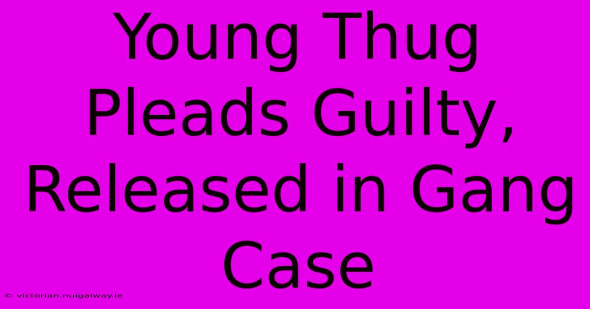 Young Thug Pleads Guilty, Released In Gang Case