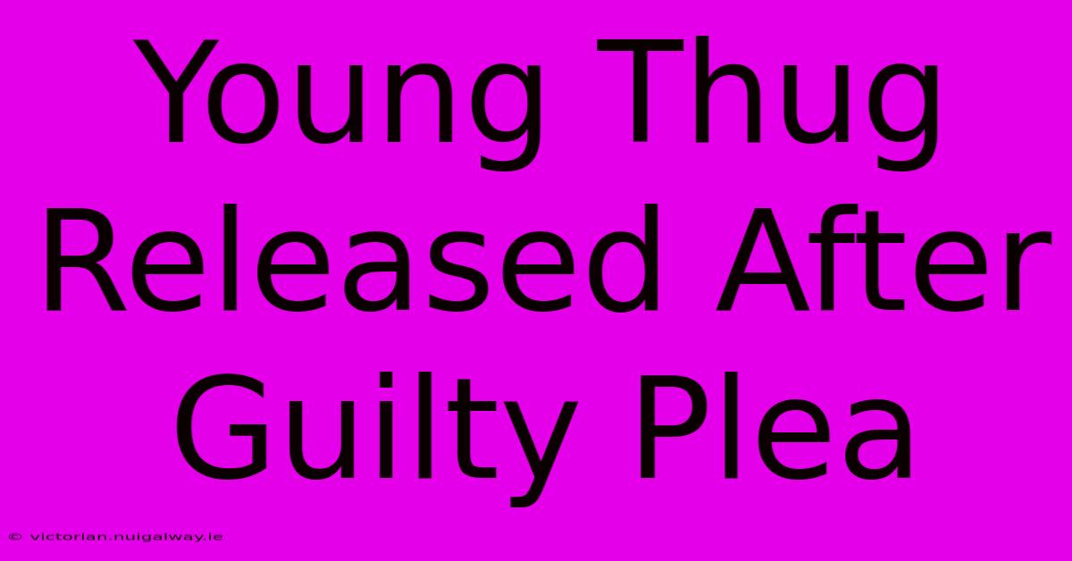 Young Thug Released After Guilty Plea