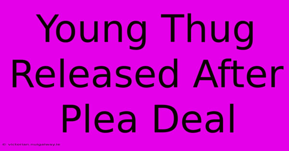 Young Thug Released After Plea Deal