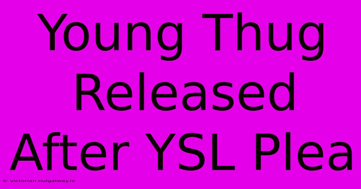 Young Thug Released After YSL Plea 