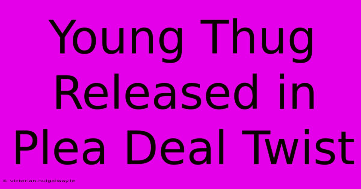 Young Thug Released In Plea Deal Twist