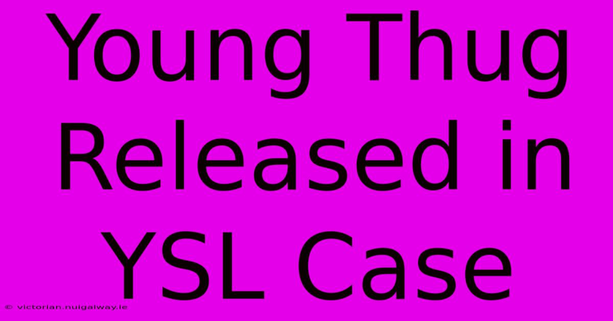 Young Thug Released In YSL Case