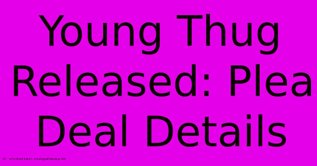 Young Thug Released: Plea Deal Details 