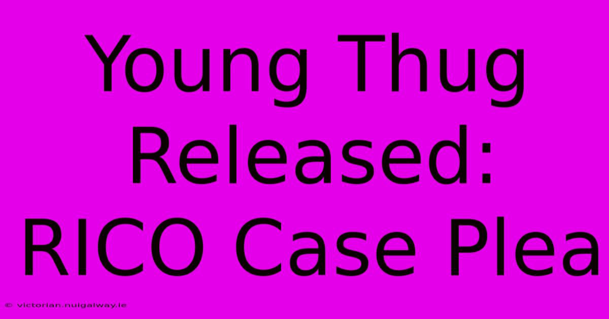 Young Thug Released: RICO Case Plea 