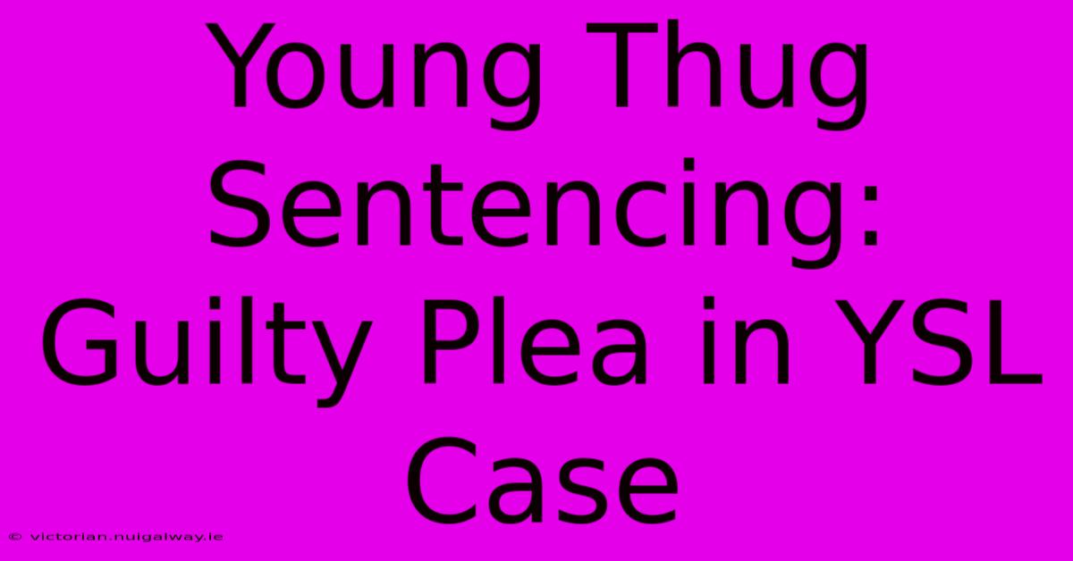 Young Thug Sentencing: Guilty Plea In YSL Case 