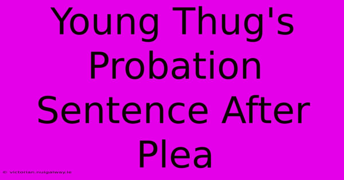 Young Thug's Probation Sentence After Plea 