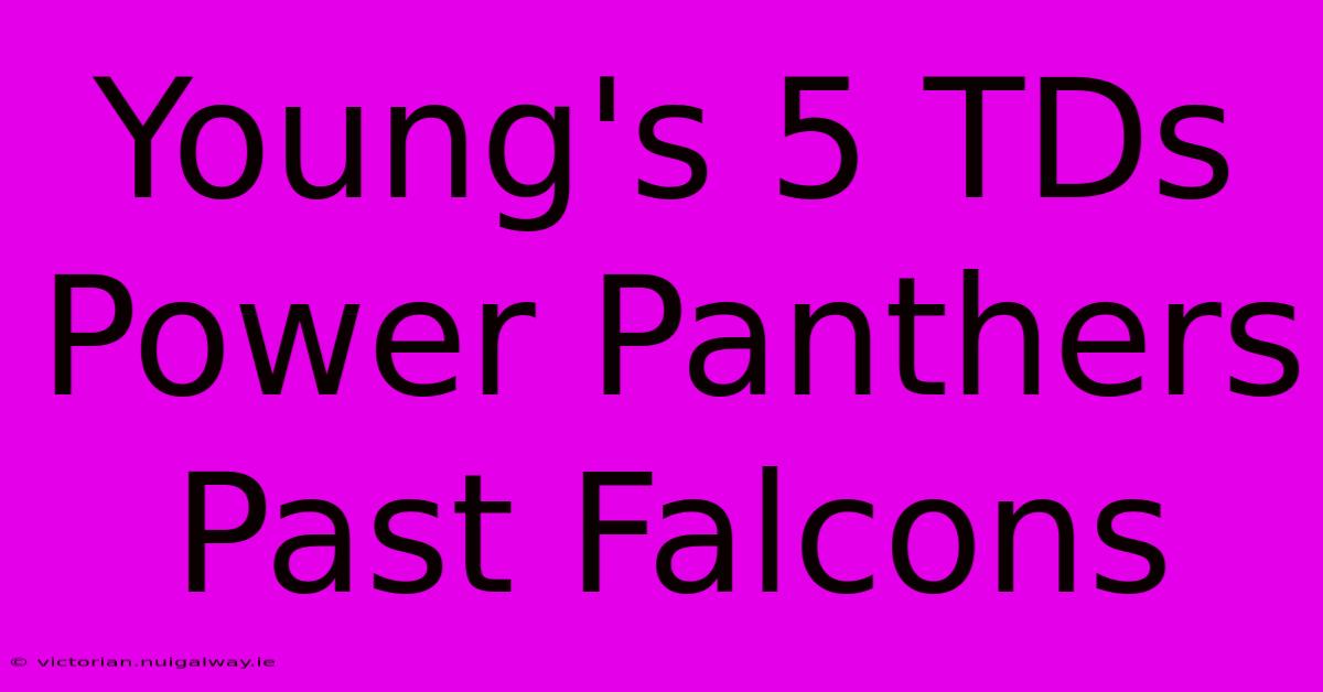 Young's 5 TDs Power Panthers Past Falcons