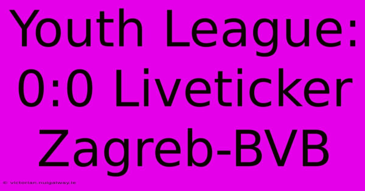 Youth League: 0:0 Liveticker Zagreb-BVB