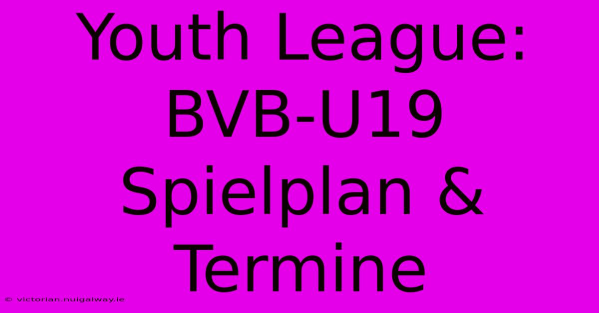 Youth League: BVB-U19 Spielplan & Termine