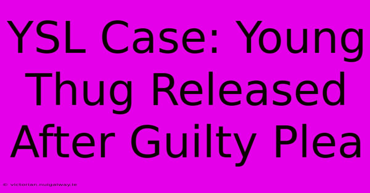 YSL Case: Young Thug Released After Guilty Plea 