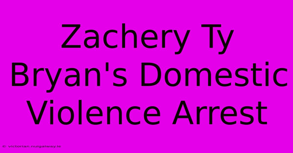 Zachery Ty Bryan's Domestic Violence Arrest