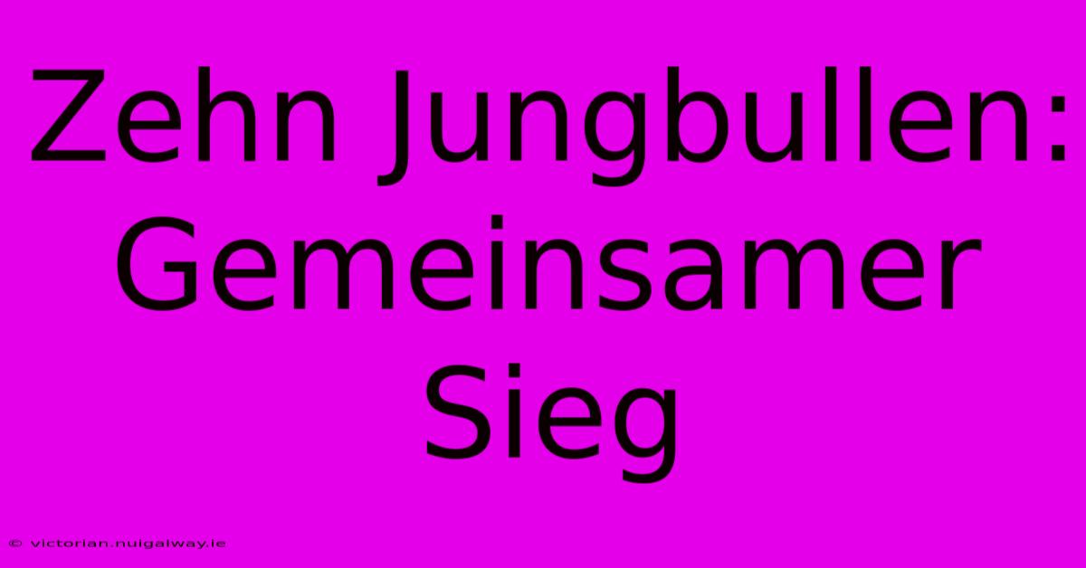 Zehn Jungbullen: Gemeinsamer Sieg