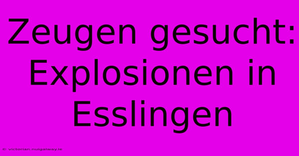 Zeugen Gesucht: Explosionen In Esslingen