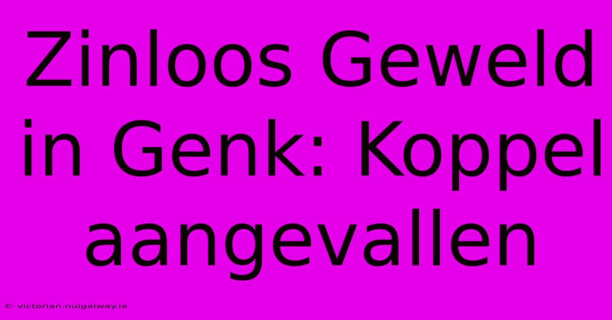 Zinloos Geweld In Genk: Koppel Aangevallen