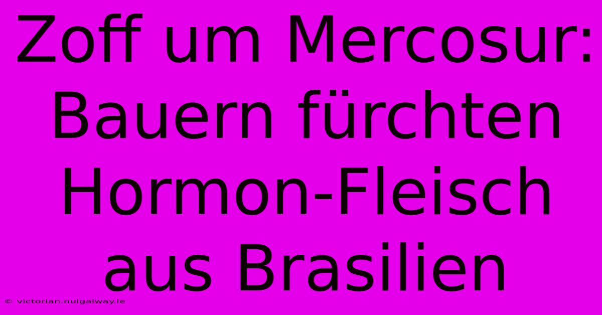 Zoff Um Mercosur: Bauern Fürchten Hormon-Fleisch Aus Brasilien 