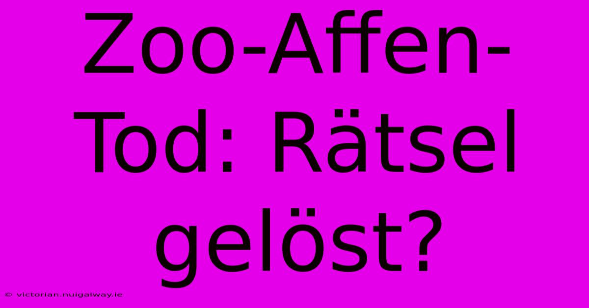 Zoo-Affen-Tod: Rätsel Gelöst?