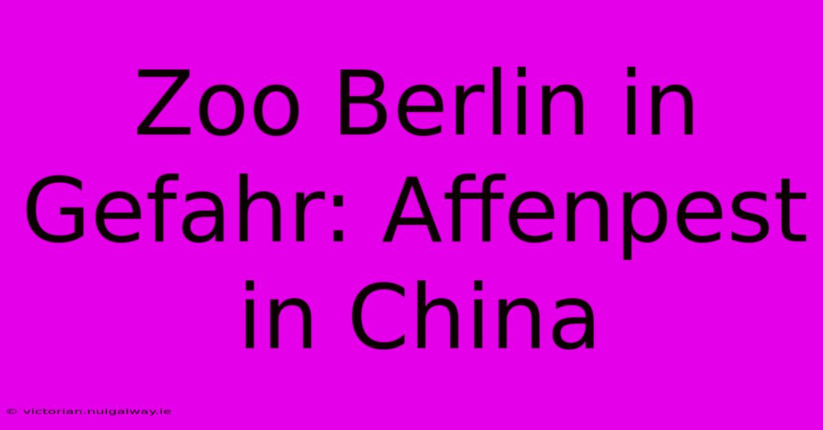 Zoo Berlin In Gefahr: Affenpest In China