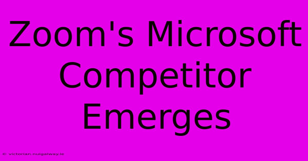 Zoom's Microsoft Competitor Emerges