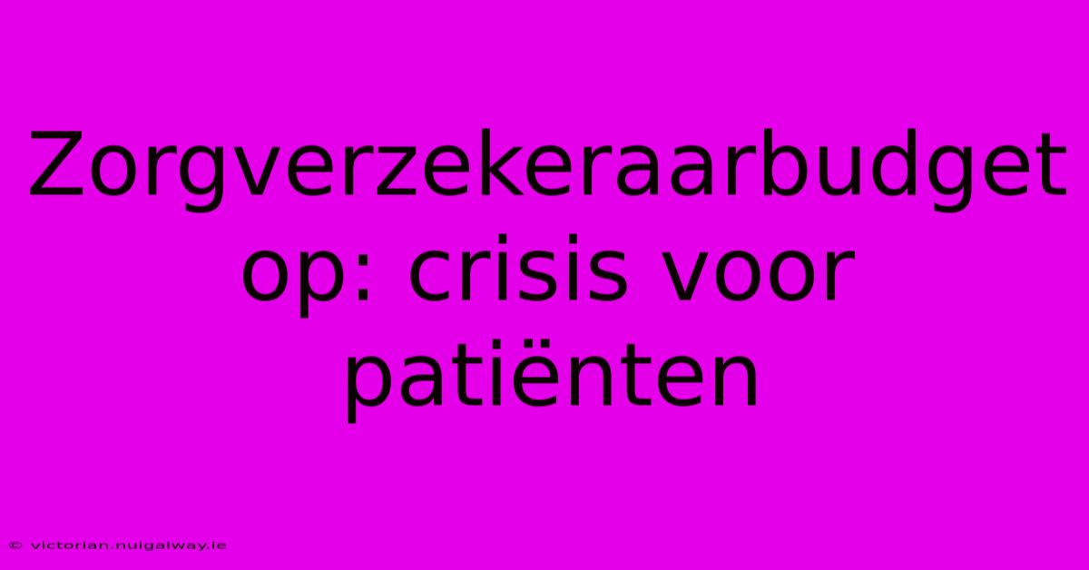 Zorgverzekeraarbudget Op: Crisis Voor Patiënten