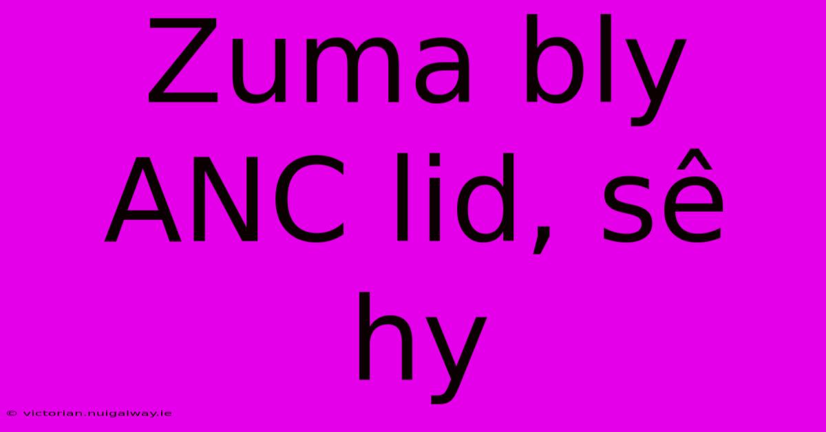 Zuma Bly ANC Lid, Sê Hy