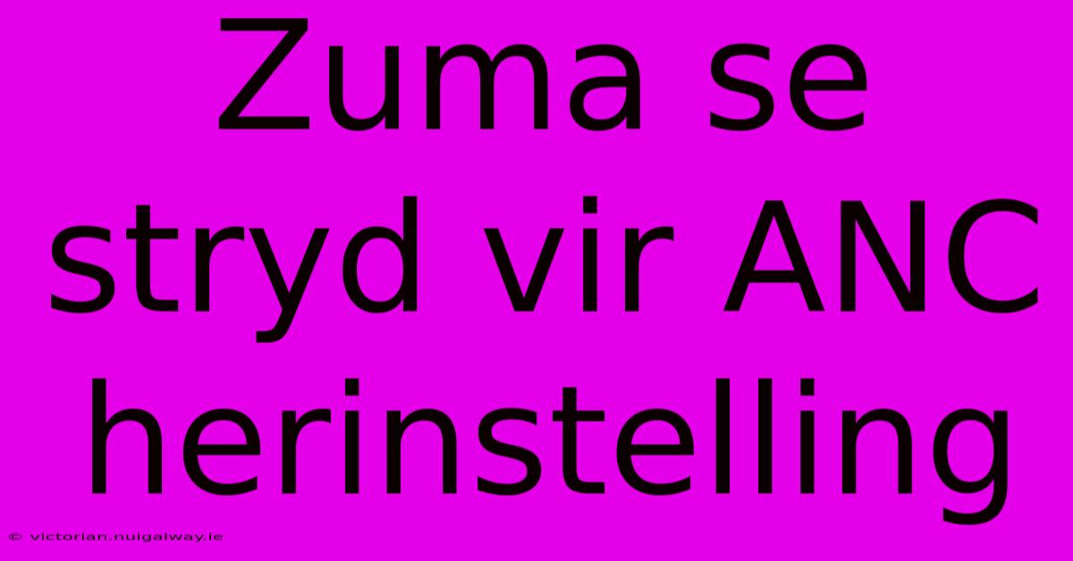 Zuma Se Stryd Vir ANC Herinstelling