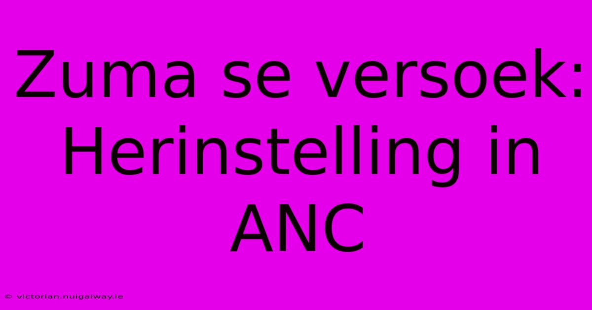 Zuma Se Versoek: Herinstelling In ANC