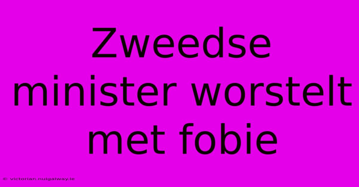 Zweedse Minister Worstelt Met Fobie