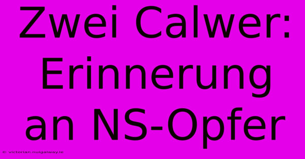 Zwei Calwer: Erinnerung An NS-Opfer 